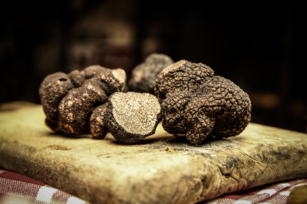 Découvrir la truffe du Périgord le temps d’un week-end d’initiation